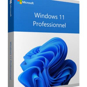 Microsoft Windows 11 Professional – Licence reconditionnée Verdital